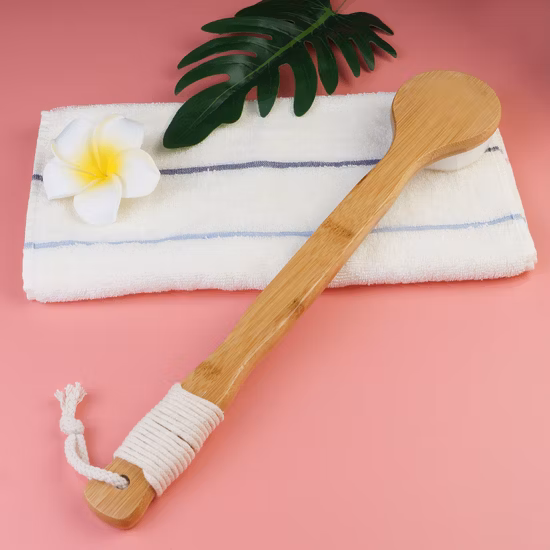 Brosses pour le corps sec en poils de sanglier naturels, brosse pour le corps à Long manche, épurateur de lavage en bois, pour le bain